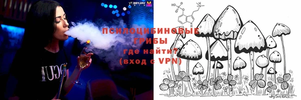 мяу мяу мука Алексин