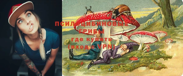 прущие крисы Алексеевка